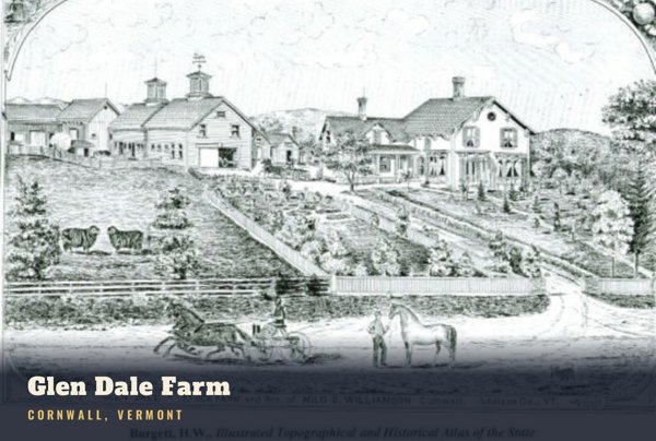 Cornwall Glen Dale Farm Postcard artwork detail