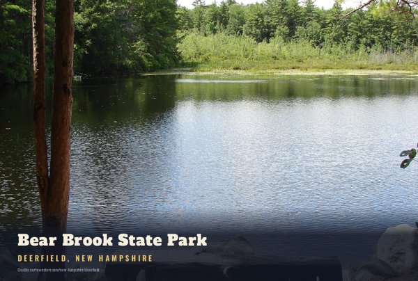 Deerfield Bear Brook State Park Postcard artwork detail