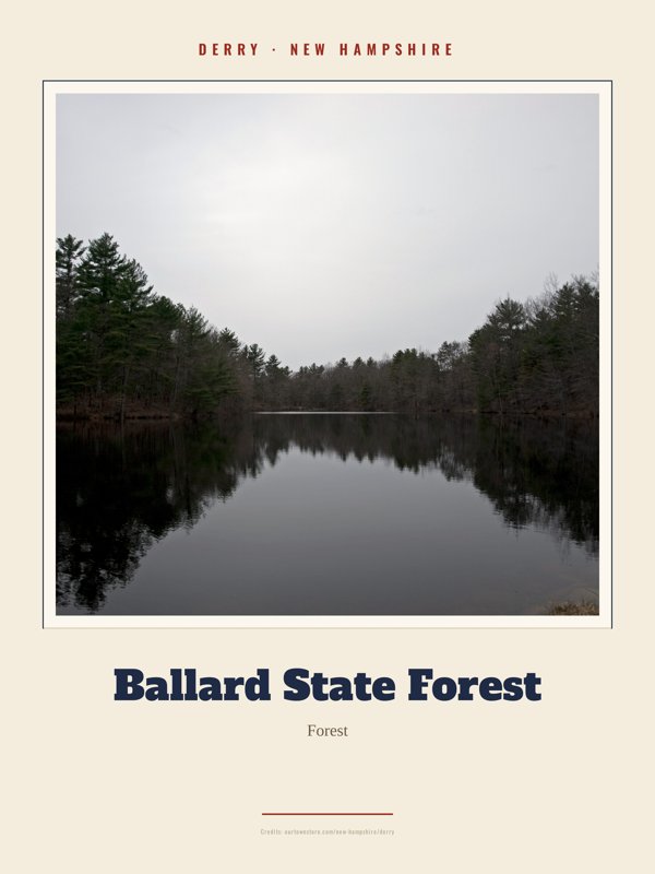 Derry Ballard State Forest Landmark Print artwork detail