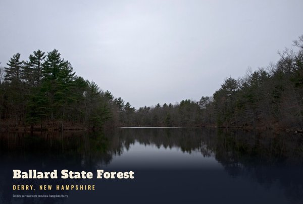 Derry Ballard State Forest Postcard artwork detail
