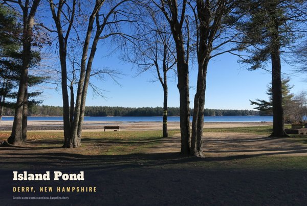 Derry Island Pond Postcard artwork detail