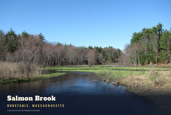 Dunstable Salmon Brook Postcard artwork detail