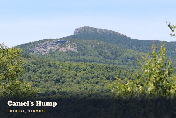 Duxbury Camel's Hump Postcard artwork detail