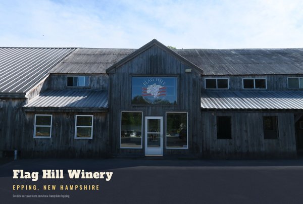 Epping Flag Hill Winery Postcard artwork detail