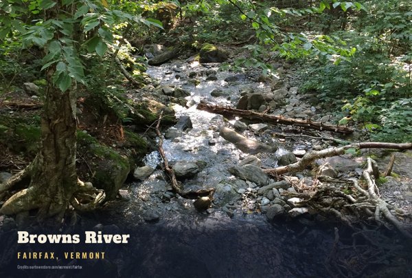 Fairfax Browns River Postcard artwork detail