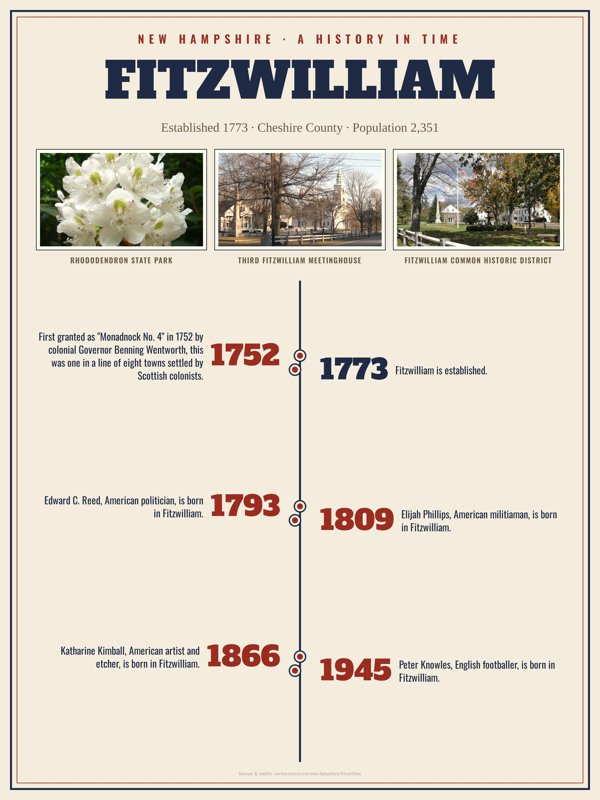Fitzwilliam History Timeline Poster artwork detail