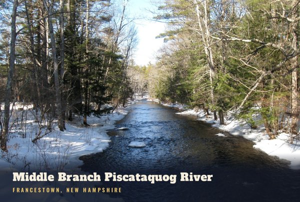 Francestown Middle Branch Piscataquog River Postcard artwork detail