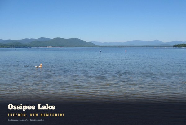 Freedom Ossipee Lake Postcard artwork detail