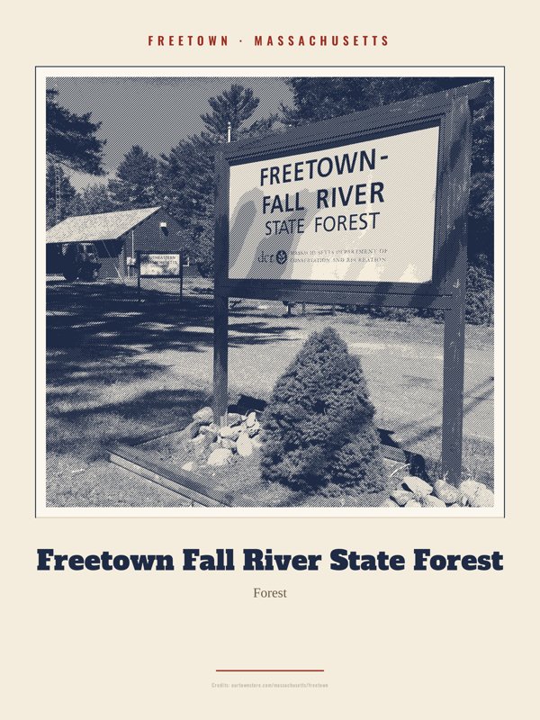 Freetown Freetown Fall River State Forest Landmark Print artwork detail