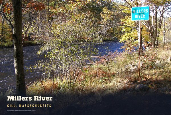 Gill Millers River Postcard artwork detail