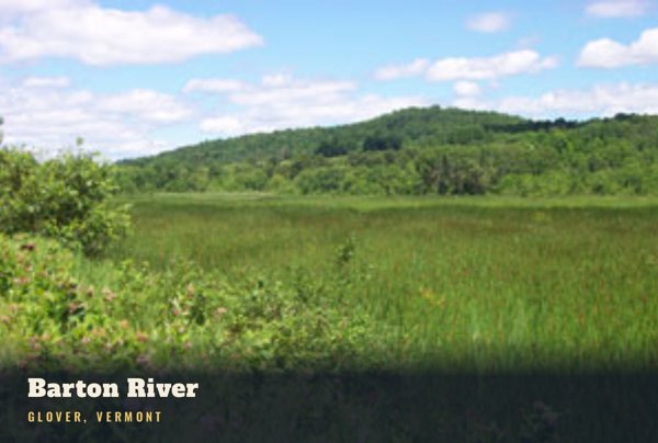 Glover Barton River Postcard artwork detail