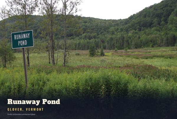 Glover Runaway Pond Postcard artwork detail