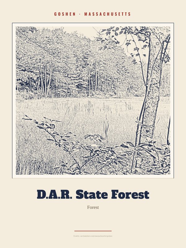 Goshen D.A.R. State Forest Landmark Print artwork detail