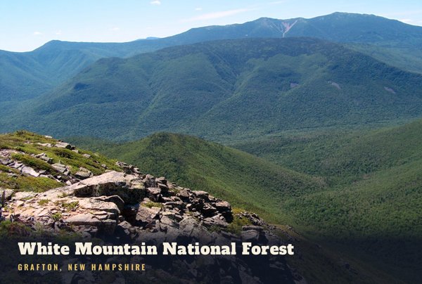 Grafton White Mountain National Forest Postcard artwork detail