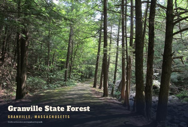Granville Granville State Forest Postcard artwork detail