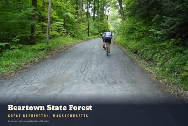 Great Barrington Beartown State Forest Postcard artwork detail