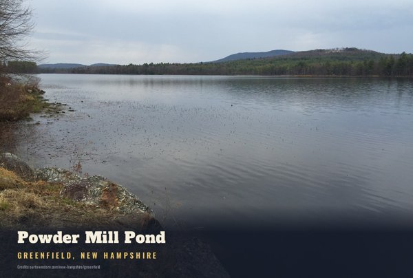 Greenfield Powder Mill Pond Postcard artwork detail