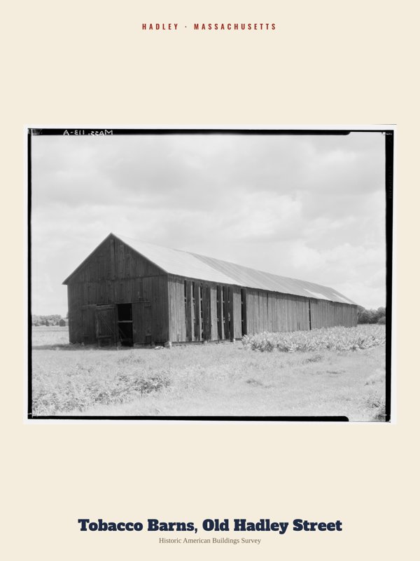 Hadley Tobacco Barns, Old Hadley Street Archive Print artwork detail