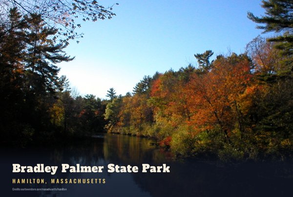 Hamilton Bradley Palmer State Park Postcard artwork detail