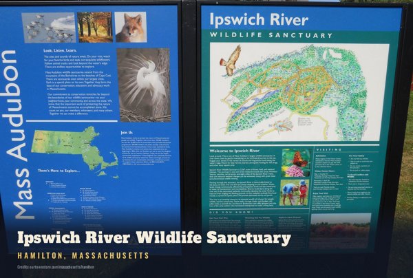 Hamilton Ipswich River Wildlife Sanctuary Postcard artwork detail