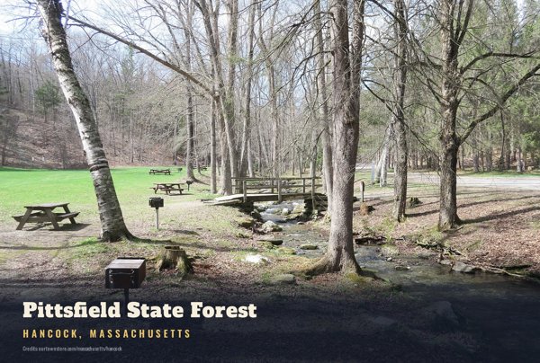 Hancock Pittsfield State Forest Postcard artwork detail