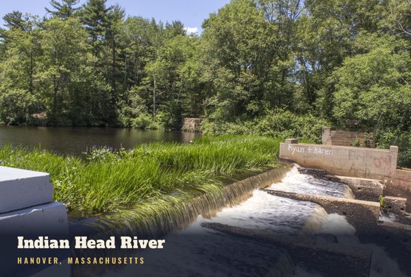 Hanover Indian Head River Postcard artwork detail