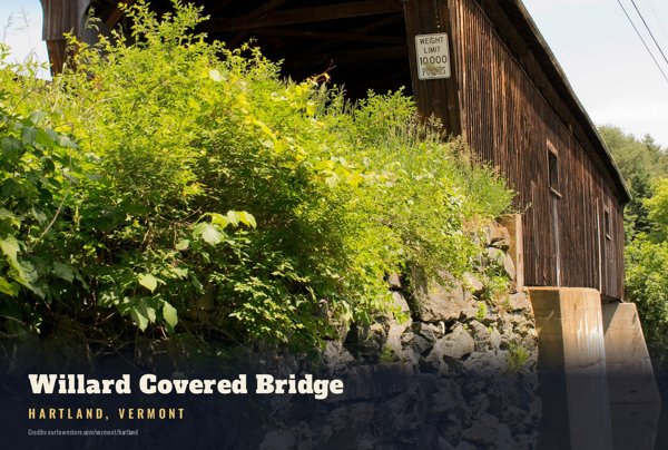 Hartland Willard Covered Bridge Postcard artwork detail