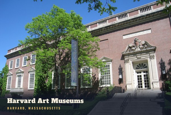 Harvard Harvard Art Museums Postcard artwork detail