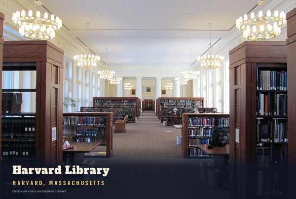 Harvard Harvard Library Postcard artwork detail