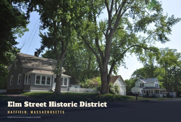 Hatfield Elm Street Historic District Postcard artwork detail