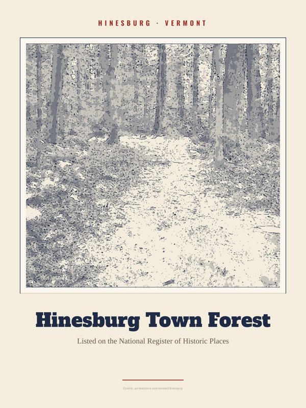 Hinesburg Hinesburg Town Forest Landmark Print artwork detail