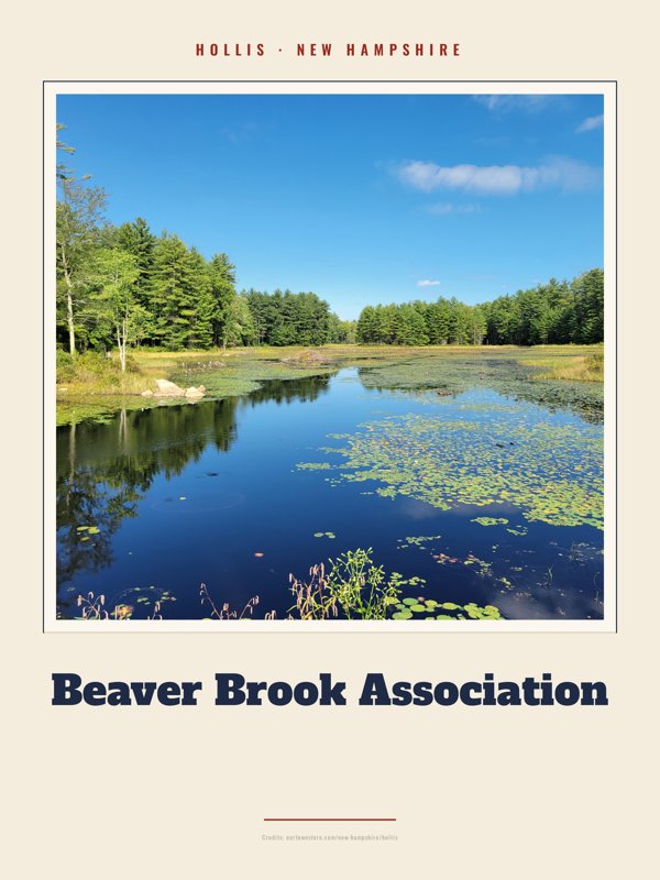 Hollis Beaver Brook Association Landmark Print artwork detail