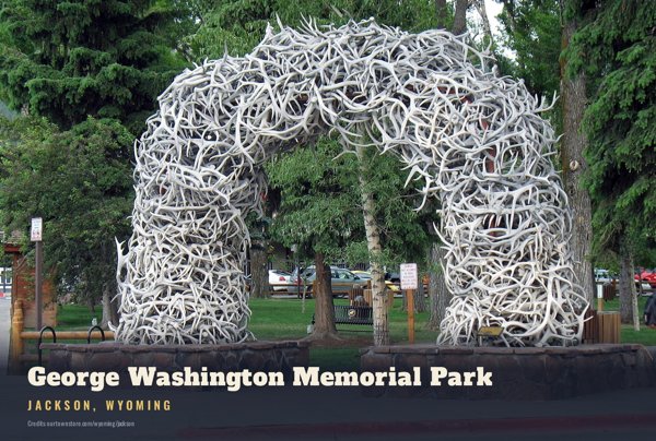 Jackson George Washington Memorial Park Postcard artwork detail
