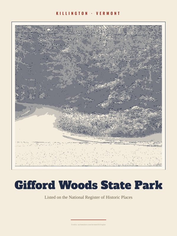 Killington Gifford Woods State Park Landmark Print artwork detail