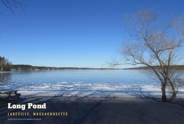 Lakeville Long Pond Postcard artwork detail