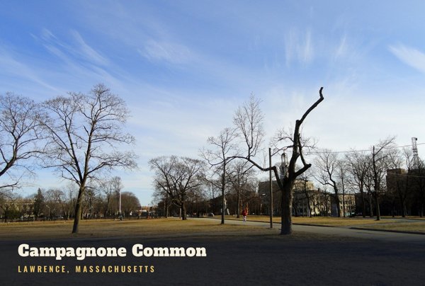 Lawrence Campagnone Common Postcard artwork detail
