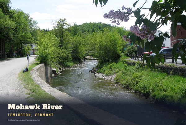 Lemington Mohawk River Postcard artwork detail