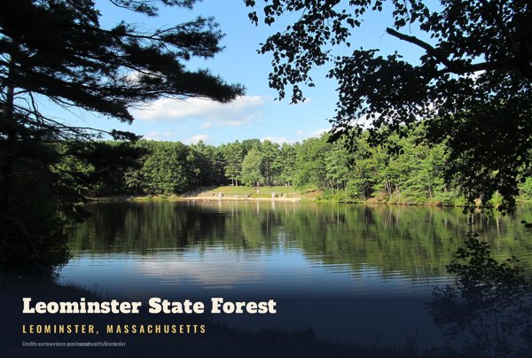 Leominster Leominster State Forest Postcard artwork detail