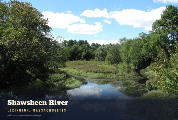 Lexington Shawsheen River Postcard artwork detail