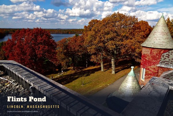 Lincoln Flints Pond Postcard artwork detail
