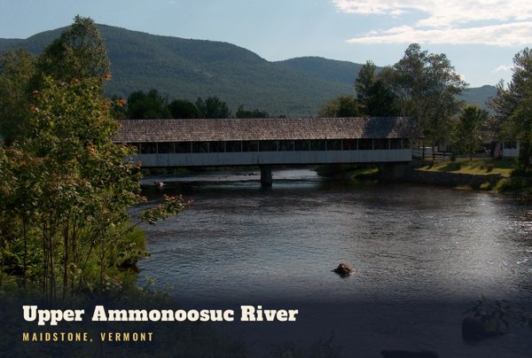 Maidstone Upper Ammonoosuc River Postcard artwork detail