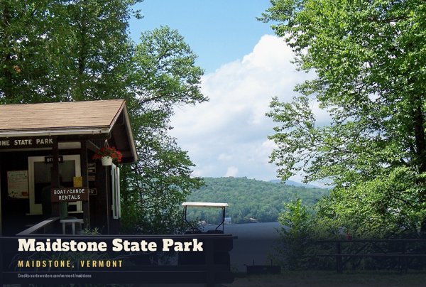 Maidstone Maidstone State Park Postcard artwork detail