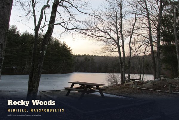 Medfield Rocky Woods Postcard artwork detail