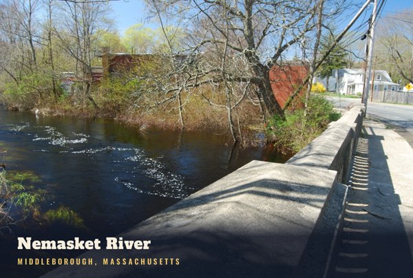Middleborough Nemasket River Postcard artwork detail