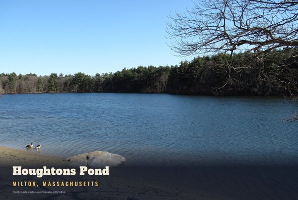 Milton Houghtons Pond Postcard artwork detail