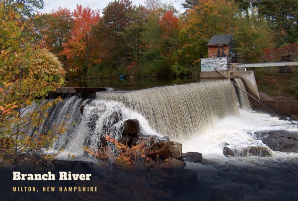 Milton Branch River Postcard artwork detail