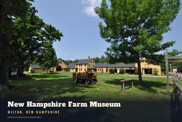 Milton New Hampshire Farm Museum Postcard artwork detail