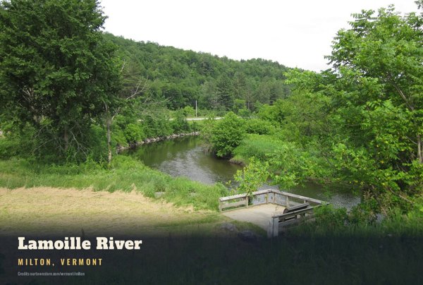 Milton Lamoille River Postcard artwork detail
