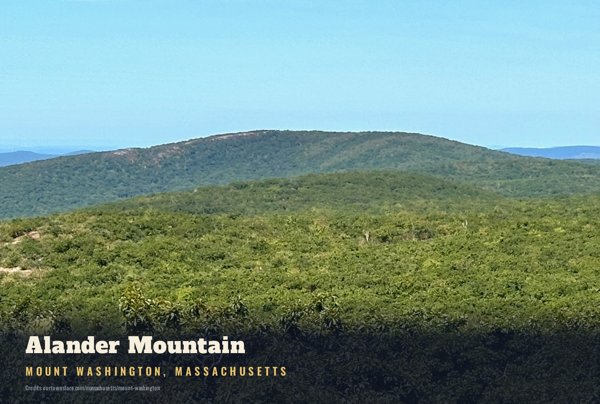 Mount Washington Alander Mountain Postcard artwork detail