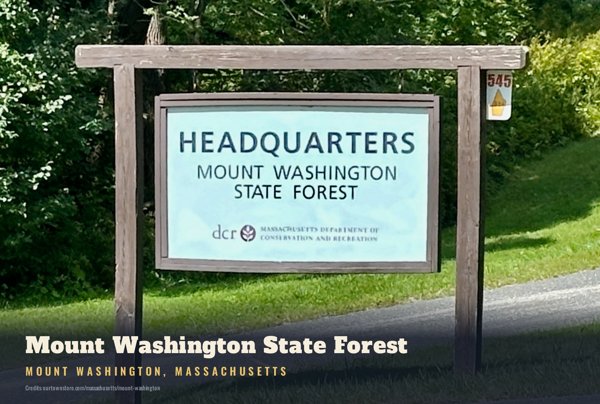 Mount Washington Mount Washington State Forest Postcard artwork detail